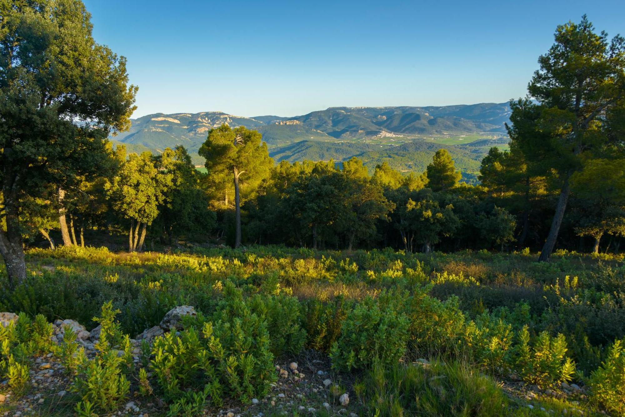 Torre Del Marqués - Small Luxury